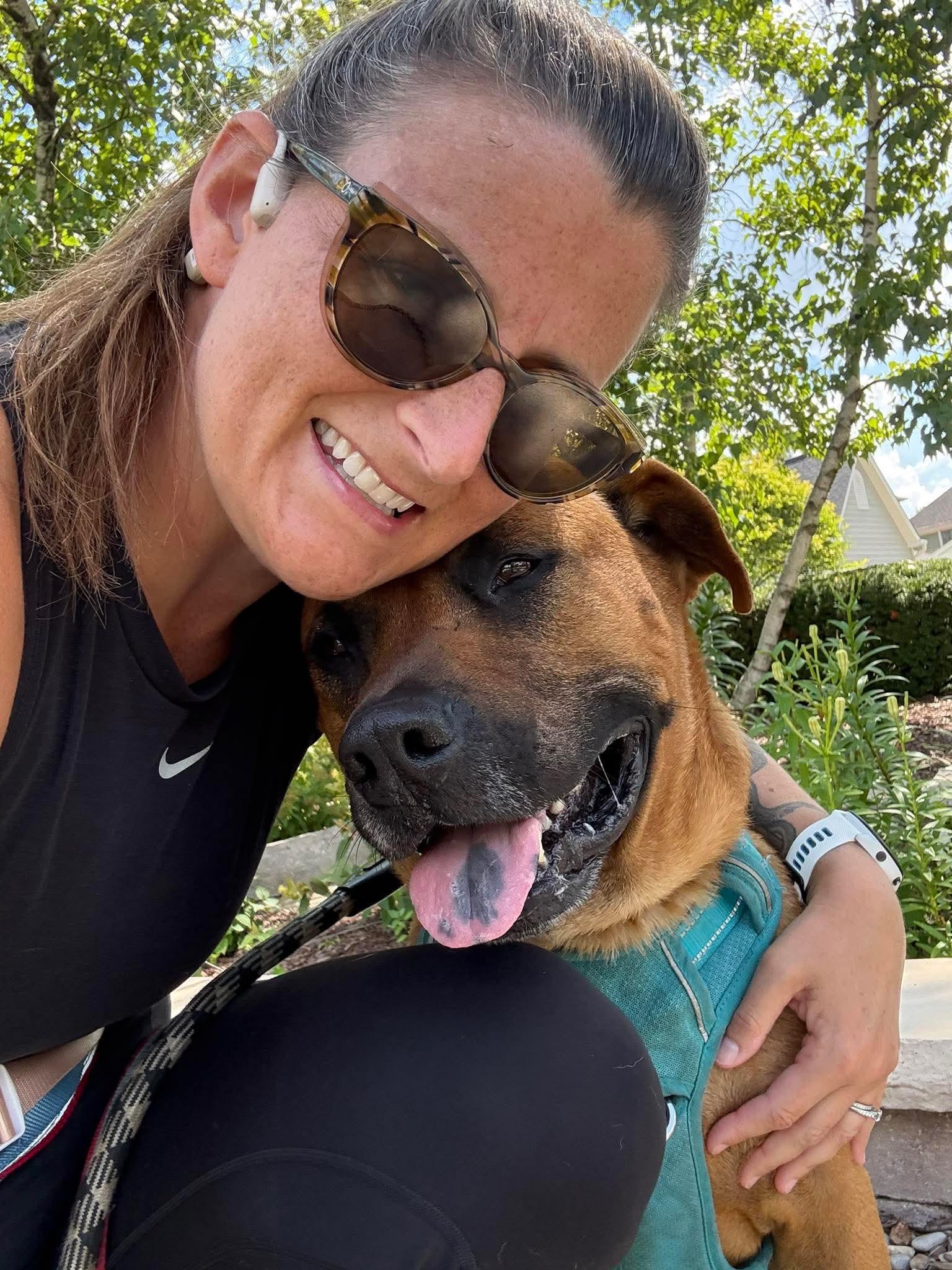 Enlarge Gordy, a Adoptable mixed breed in Downers Grove, IL image 2/5