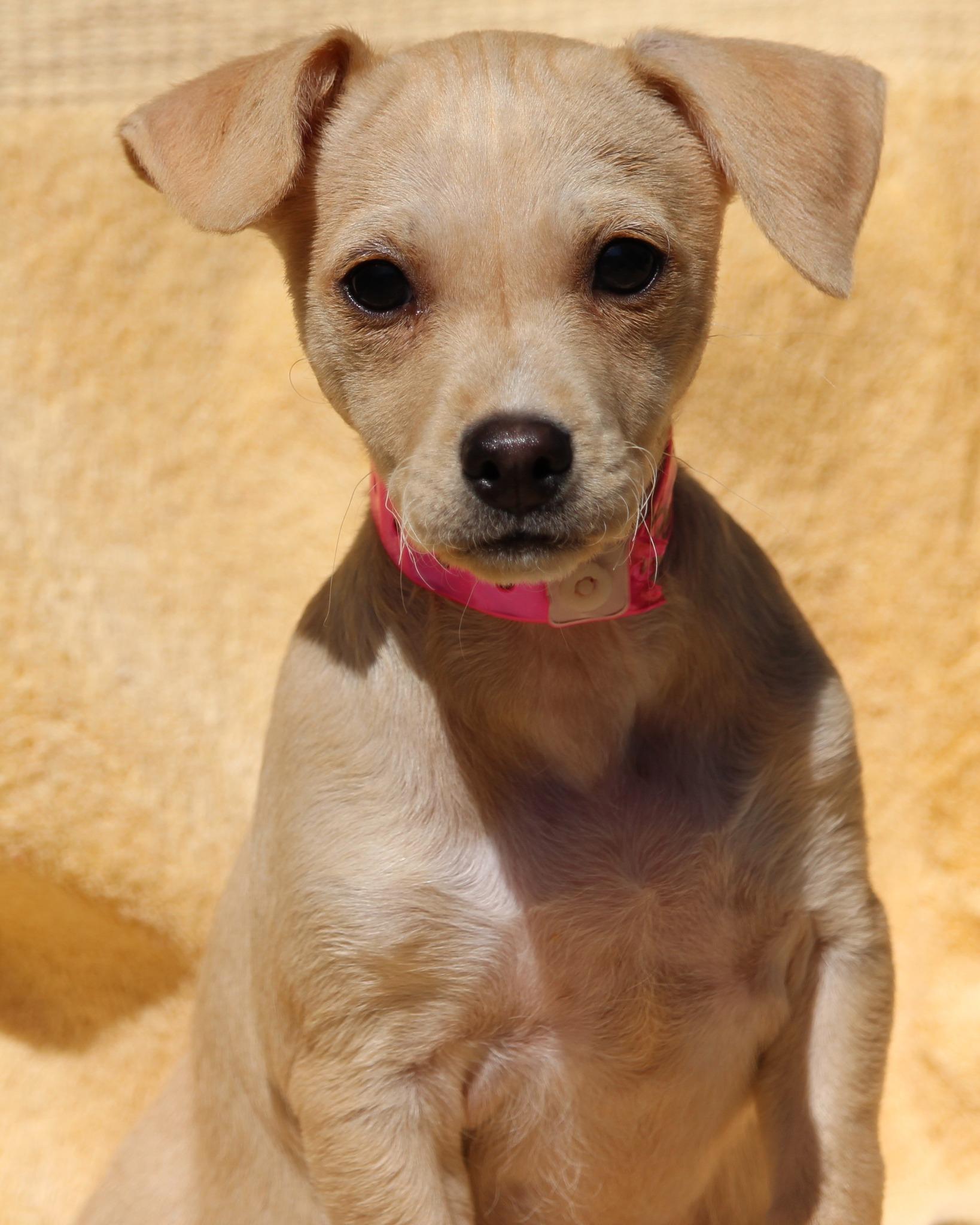 BABY PENELOPE, Baby Female unknown