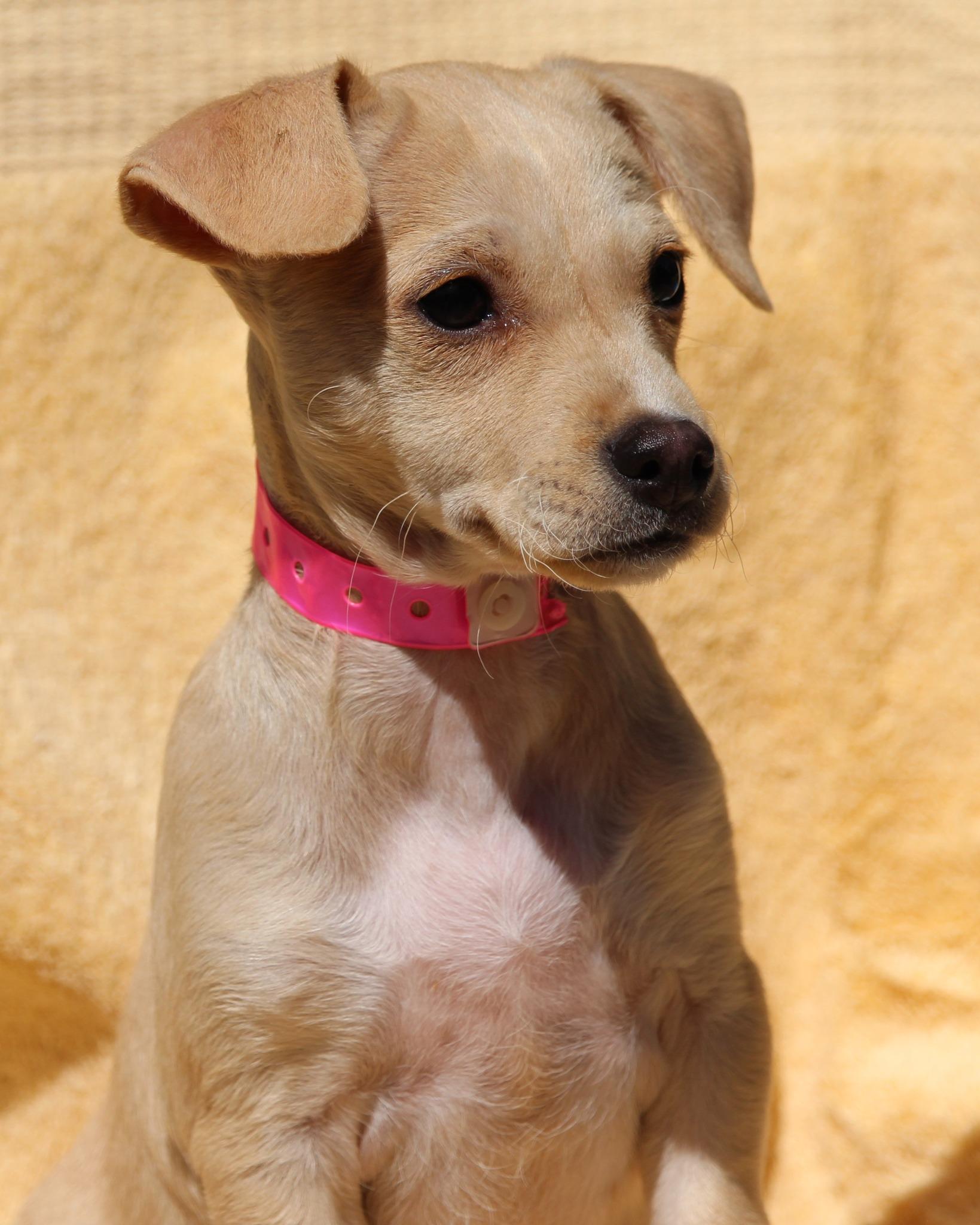BABY PENELOPE photo 2