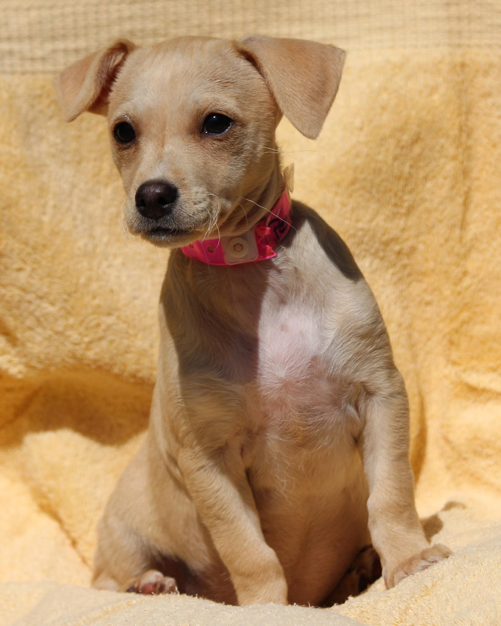 BABY PENELOPE photo 3