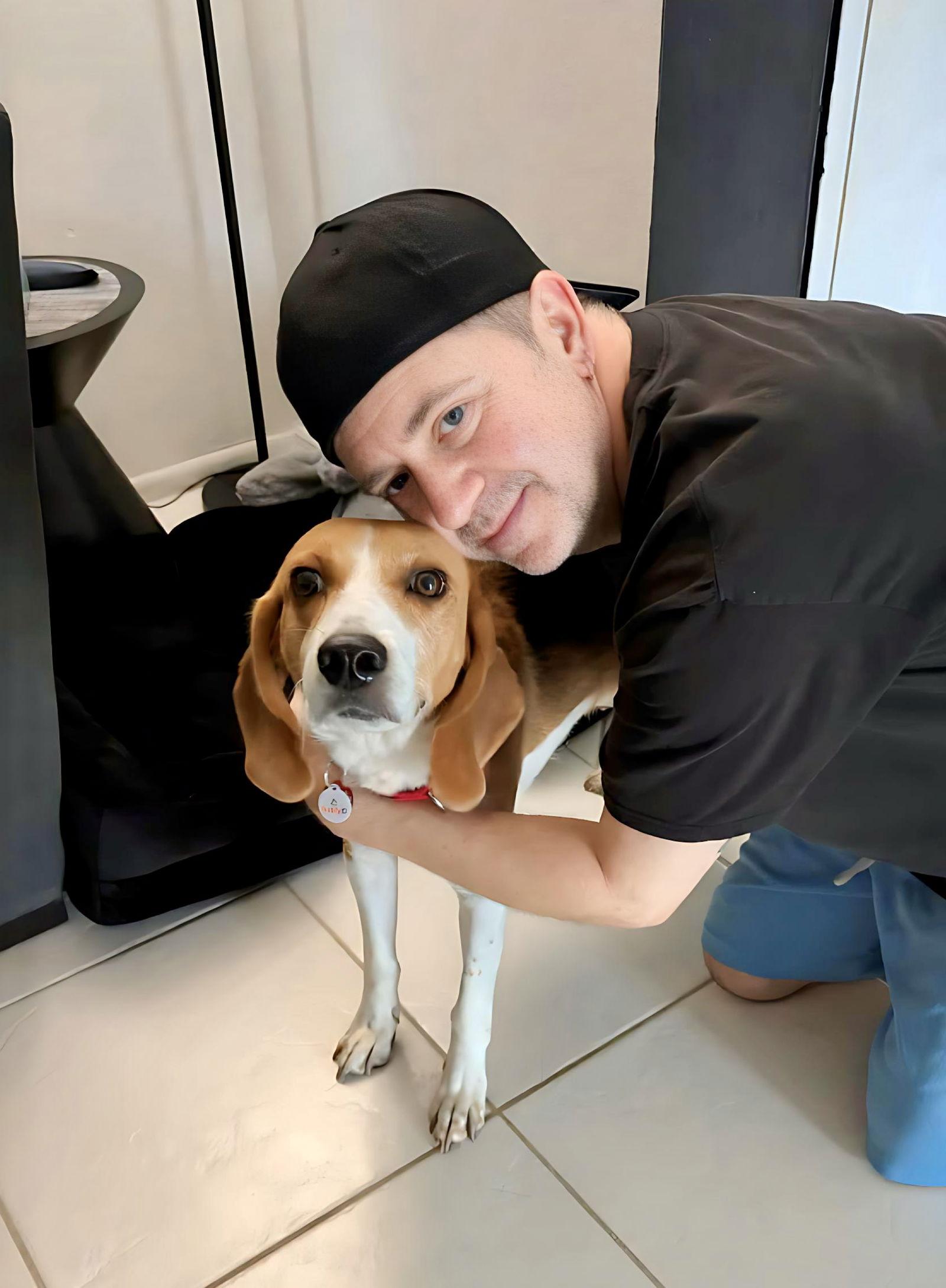 Desiree, Adopted, Young Female Beagle & Hound.