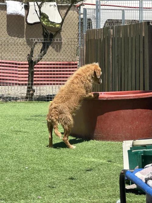 Cachetóna — thumbnail 5