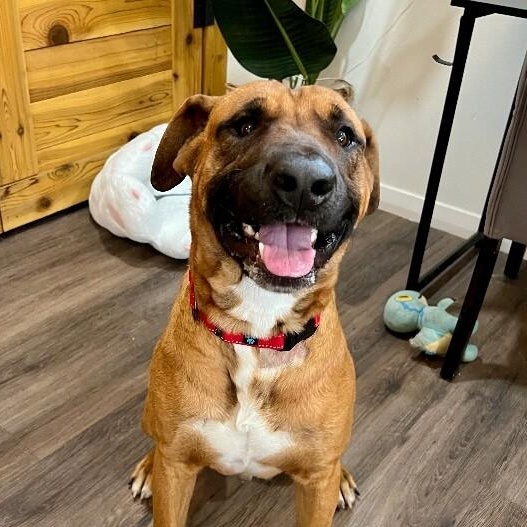 Bowen Grinner the Grinning Machine — thumbnail 3