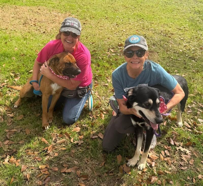 Bowen Grinner the Grinning Machine — thumbnail 5