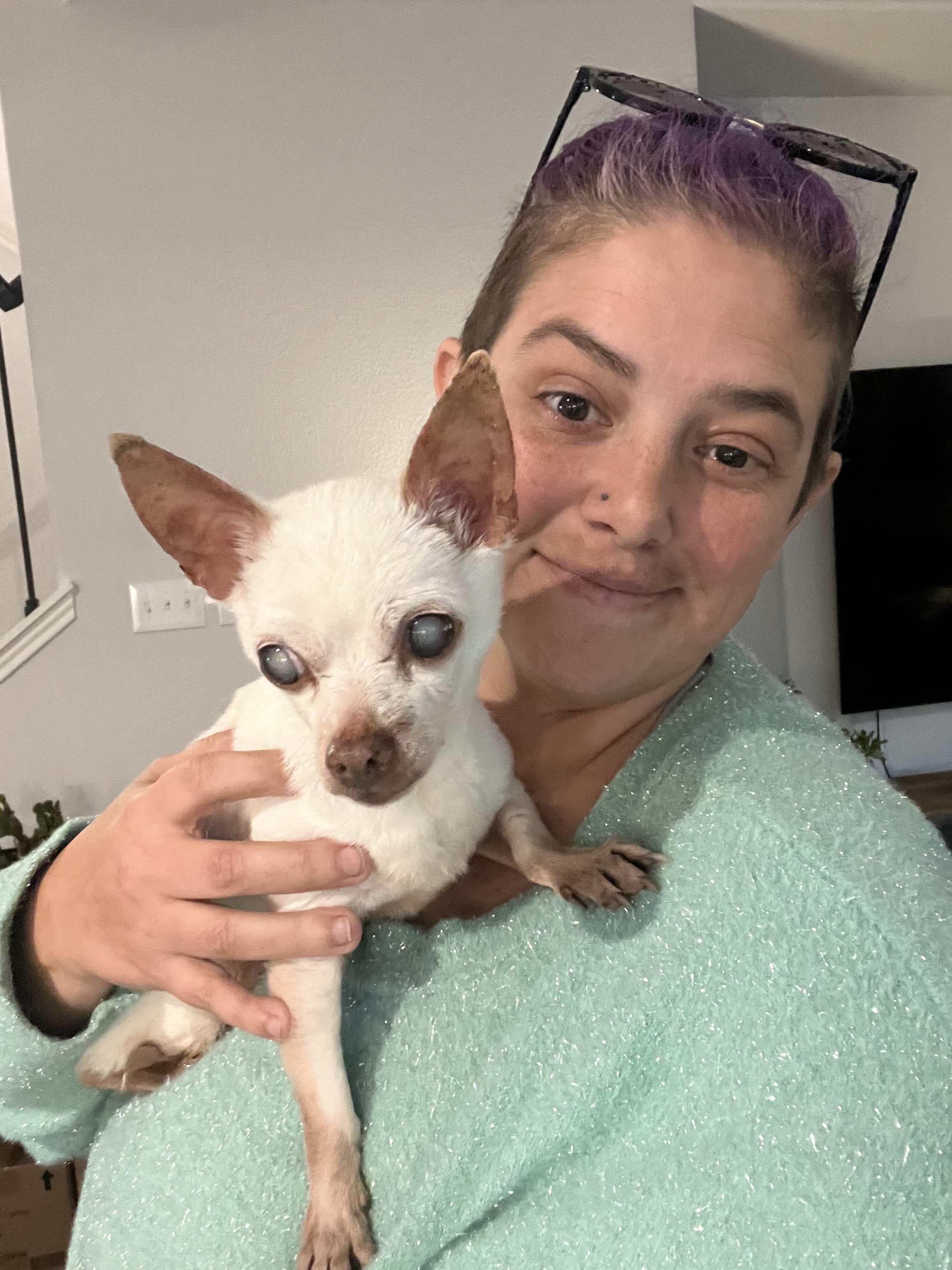 Barkley, a Adoptable Chihuahua in Austin, TX image 4/4