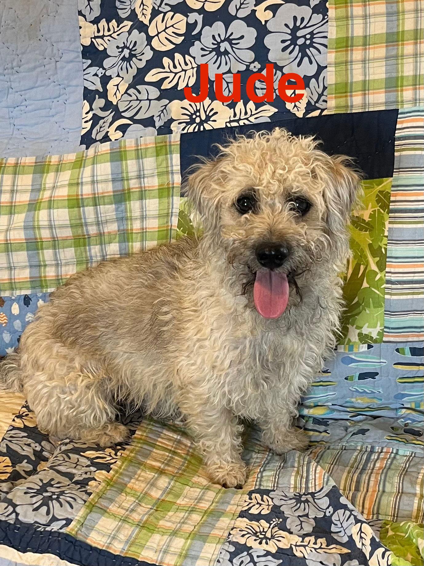 Jude