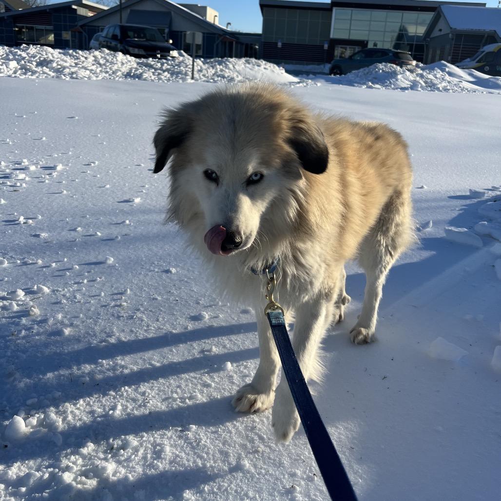 Sunny — thumbnail 3