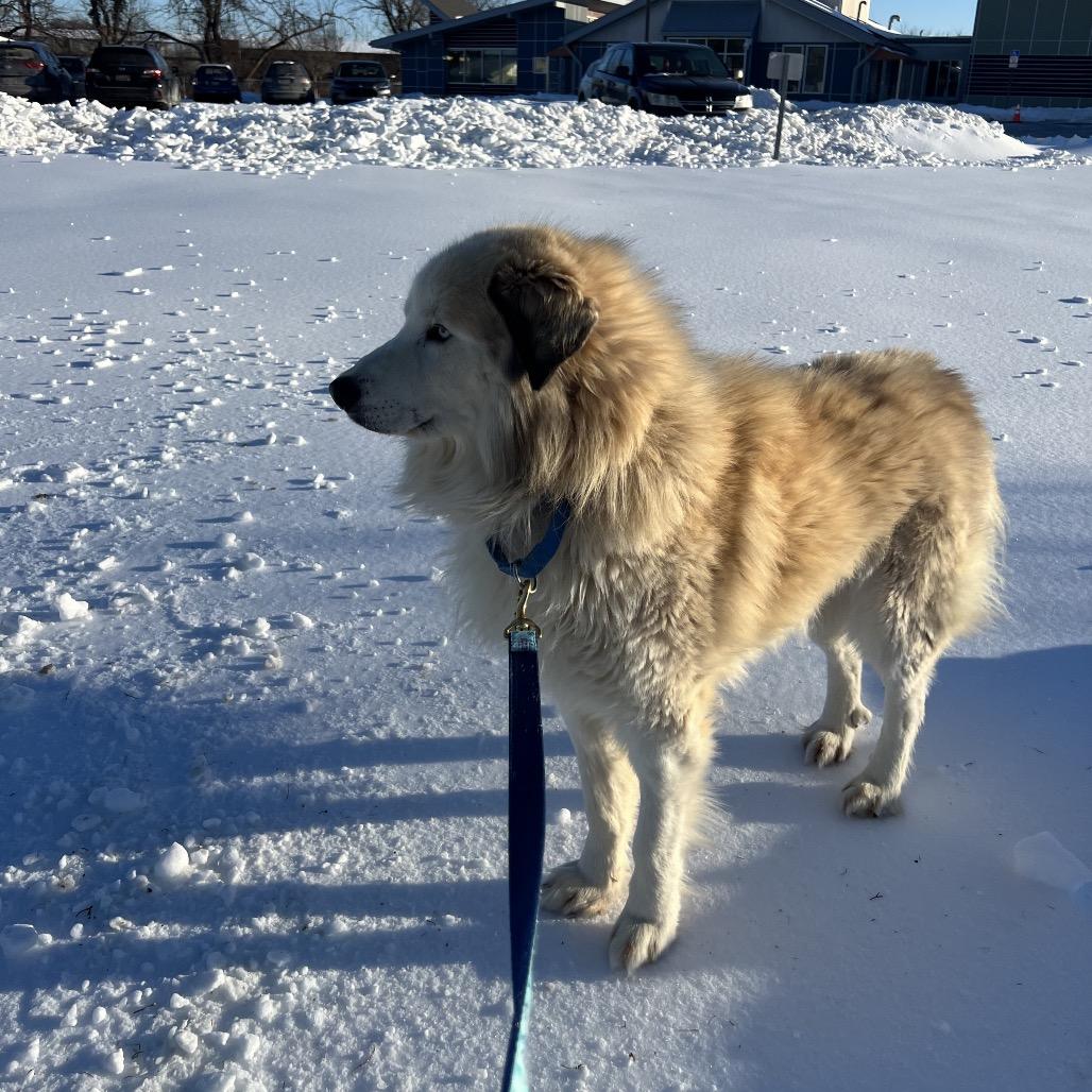 Sunny — thumbnail 5