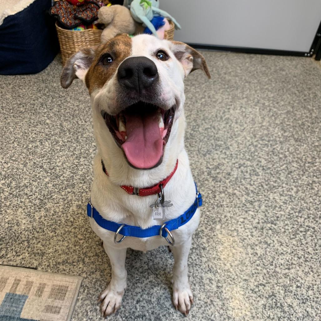 Lilly Allen thumbnail 3