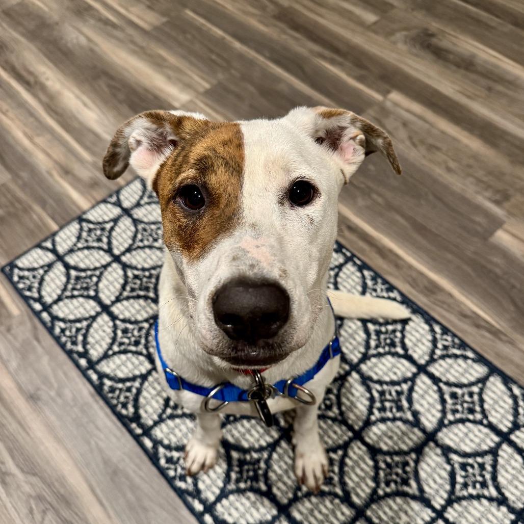 Lilly Allen thumbnail 4