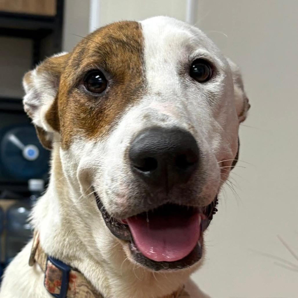 Lilly Allen thumbnail 6