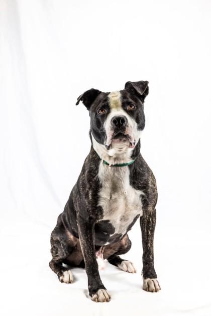 Bret Michaels thumbnail 6