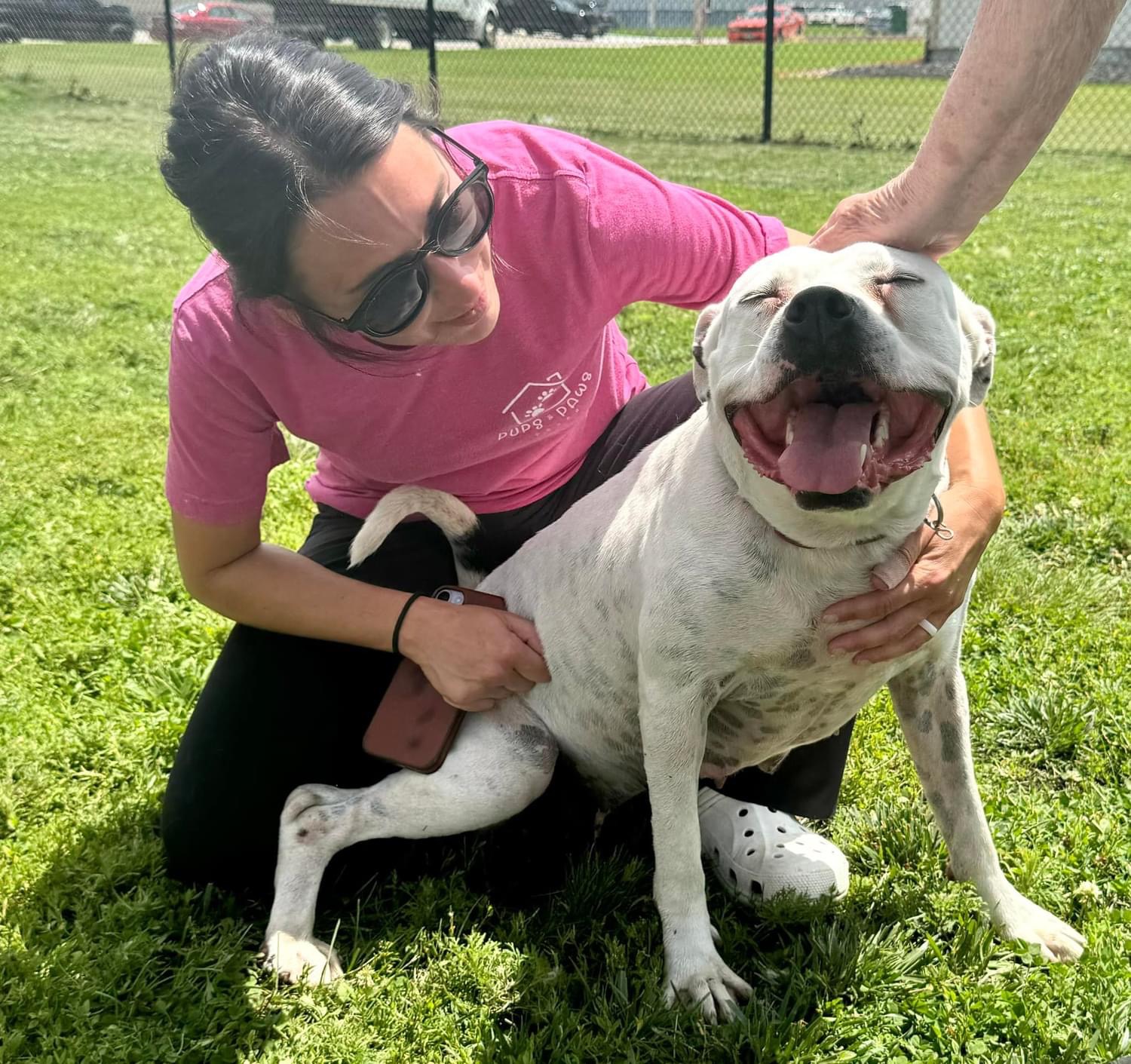 Mama P, Adult Female Pit Bull Terrier