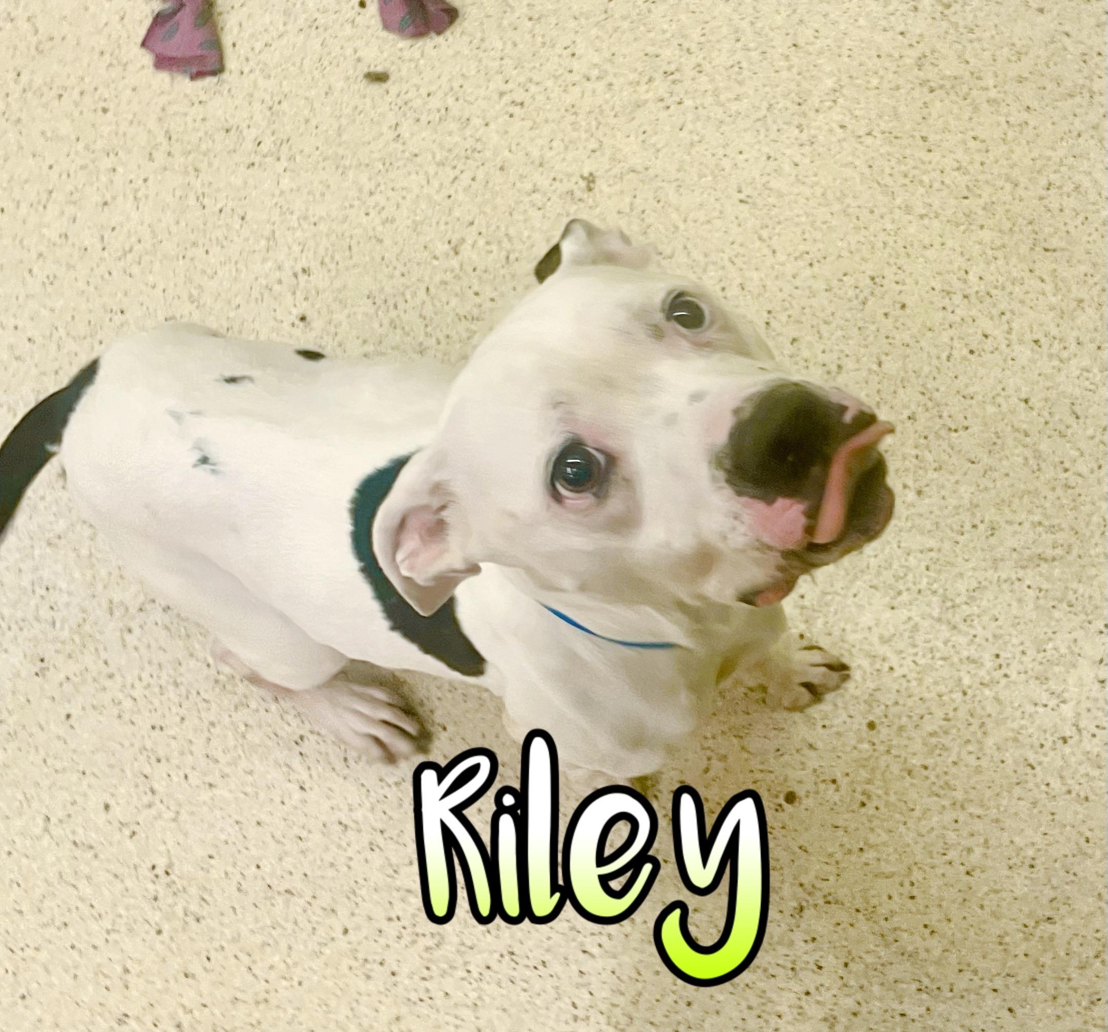 Riley