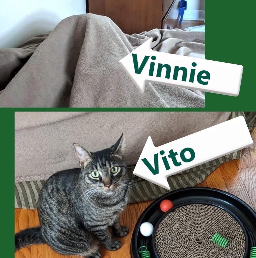 Vinnie & Vito (THE VINTO BROTHERS)