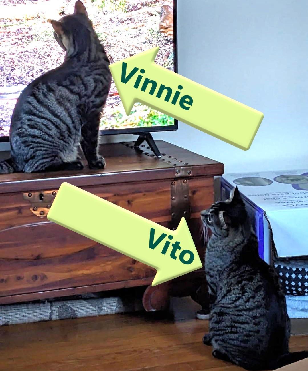 Vinnie & Vito (THE VINTO BROTHERS)