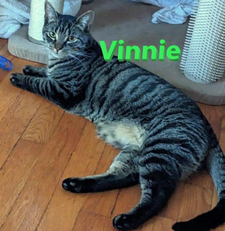 Vinnie & Vito (THE VINTO BROTHERS)