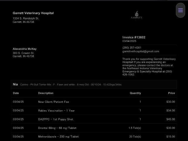 Enlarge Nia, a Adoptable mixed breed in Auburn, IN image 2/4