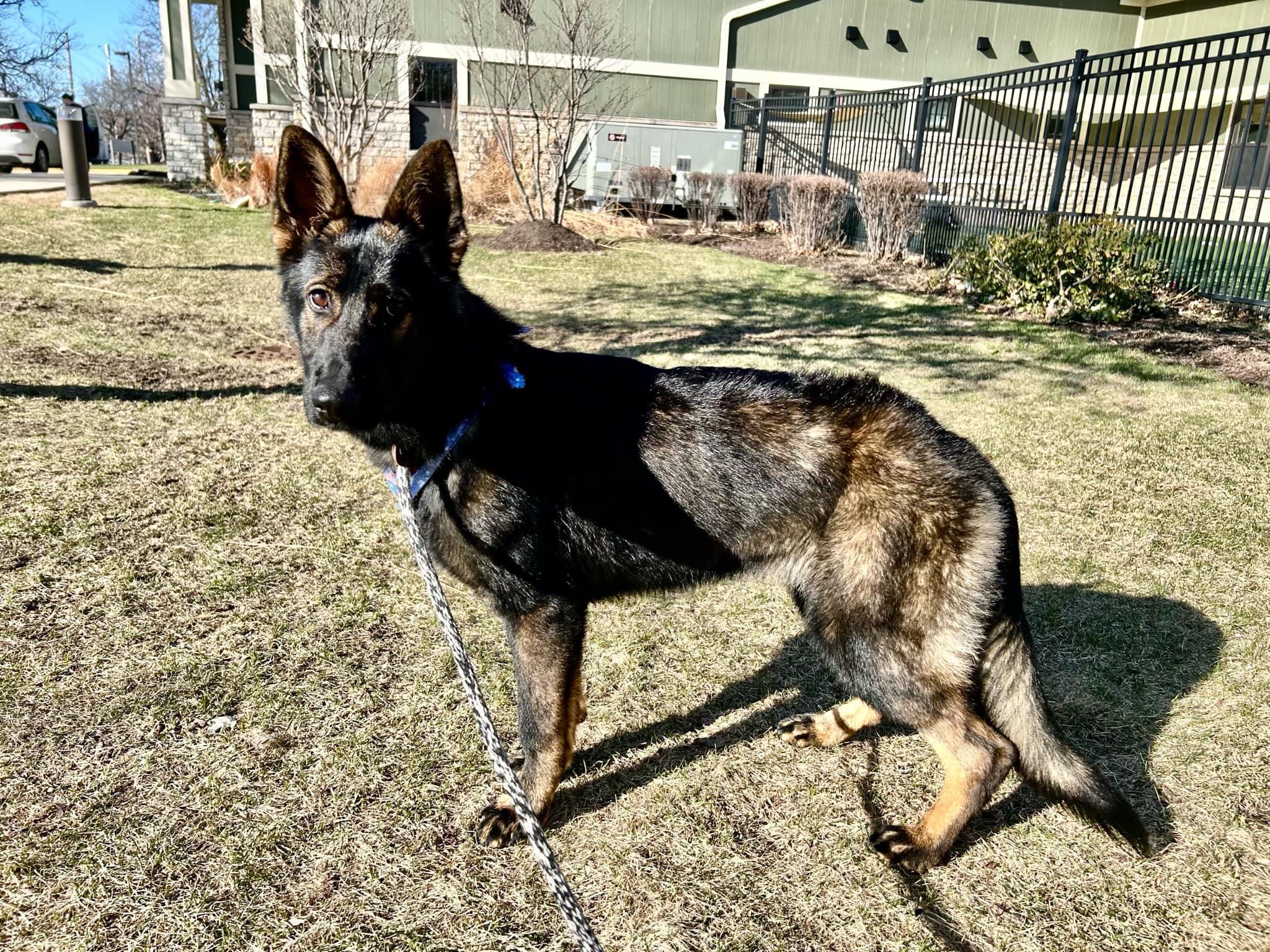 Luna (Mirabel)