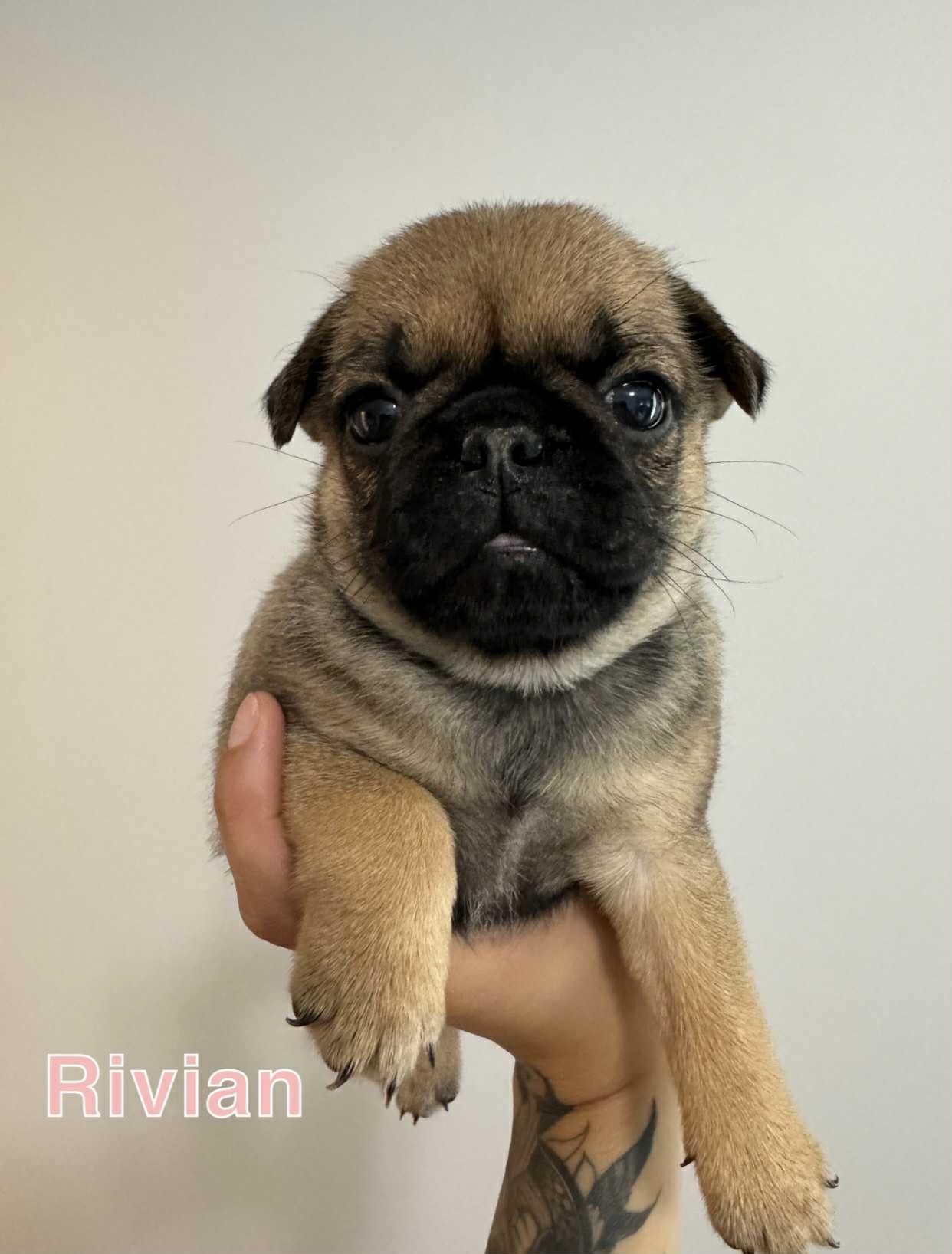 Rivian