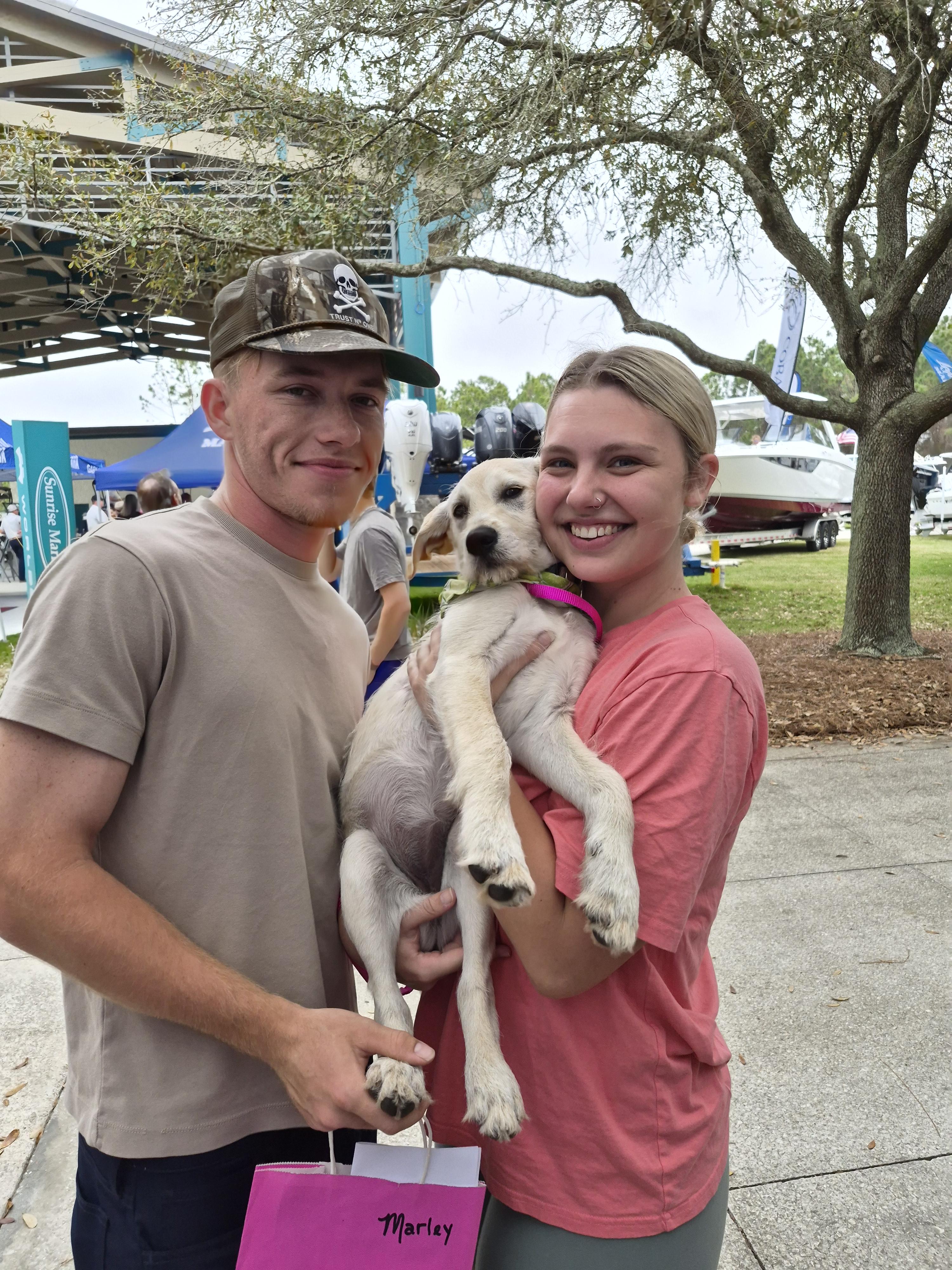 Enlarge Marley, a Adopted mixed breed in Panama City, FL image 2/3
