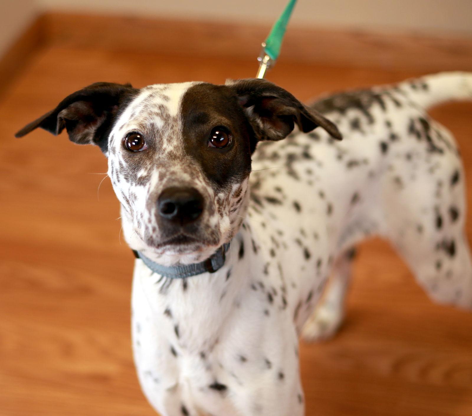 Lady Annabelle thumbnail 2