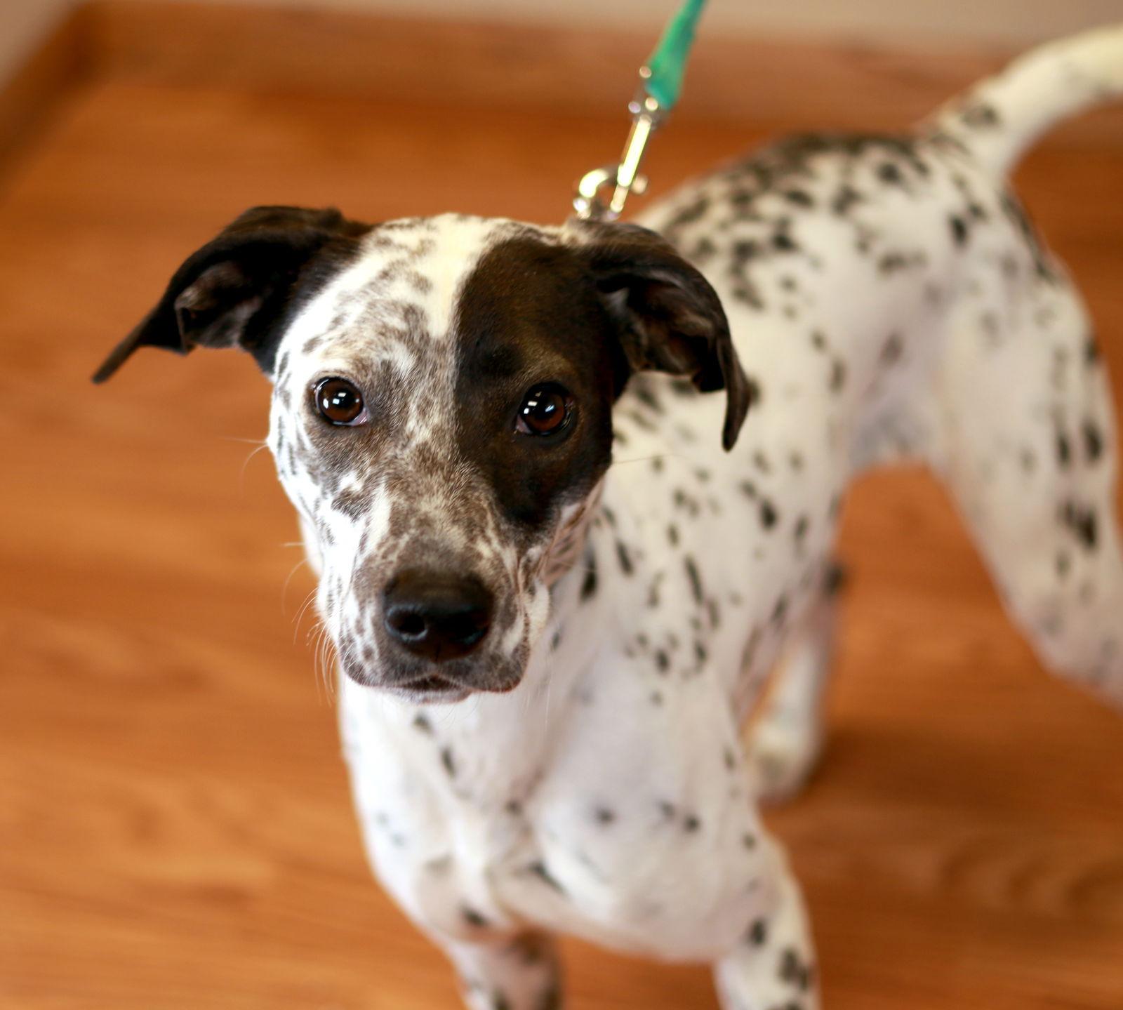 Lady Annabelle thumbnail 3