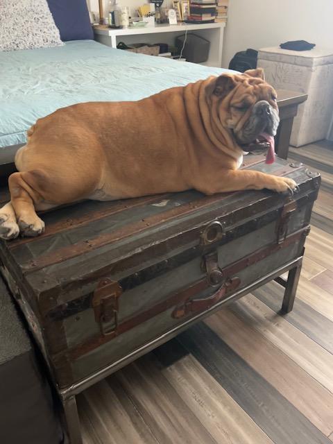 Ellie Fka Candi thumbnail 3