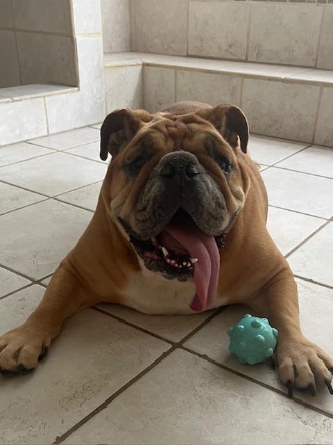 Ellie Fka Candi photo 1