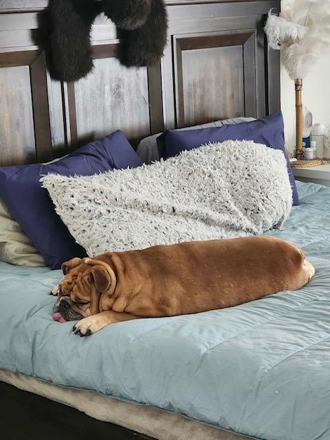 Ellie Fka Candi thumbnail 5