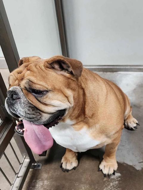 Ellie Fka Candi thumbnail 6