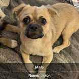 Jaxon