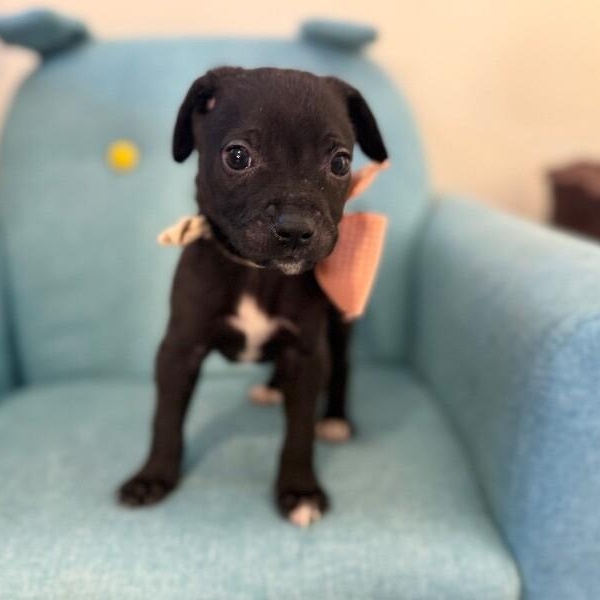 Jemima Sunshine — thumbnail 3