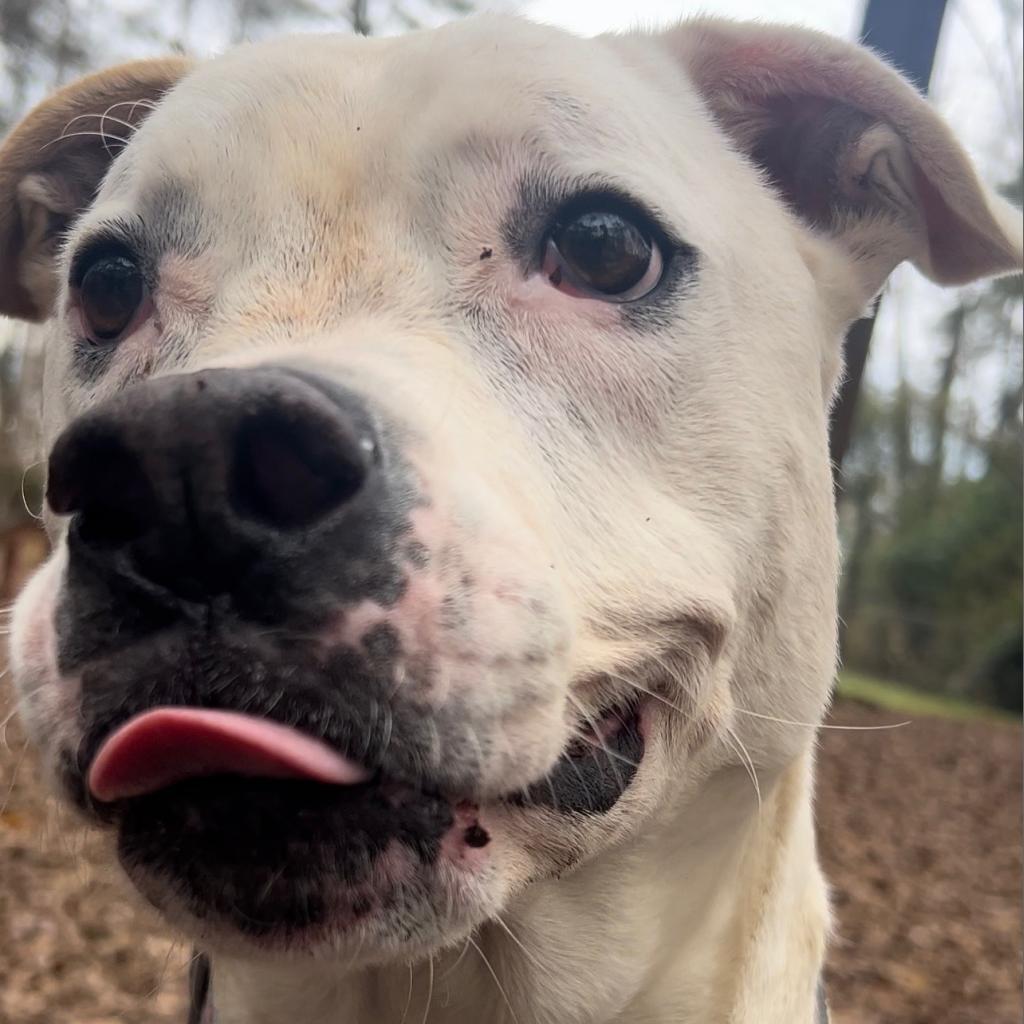 Casper (I Have a Secret Crush!) — thumbnail 2