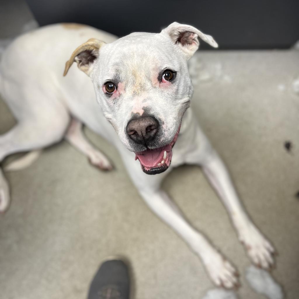 Casper (I Have a Secret Crush!) — thumbnail 5