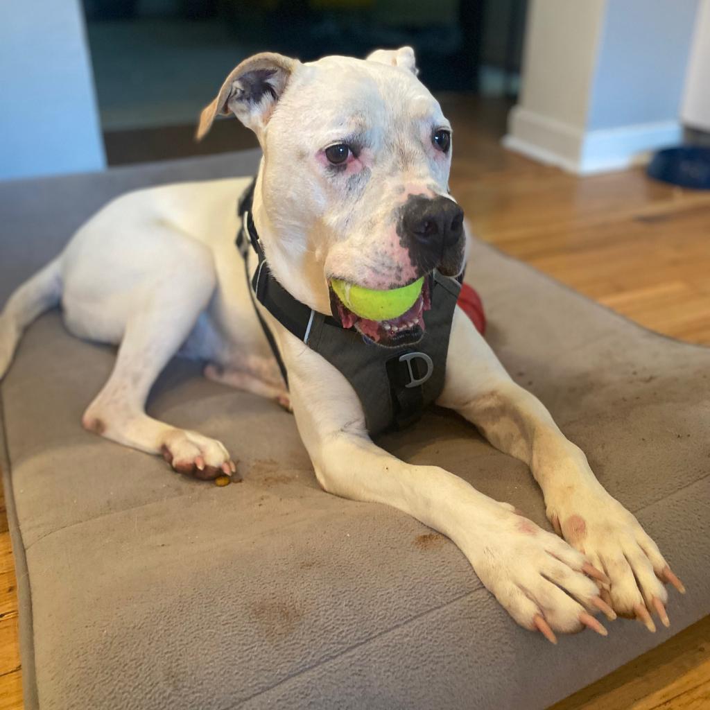 Casper (I Have a Secret Crush!) — thumbnail 6