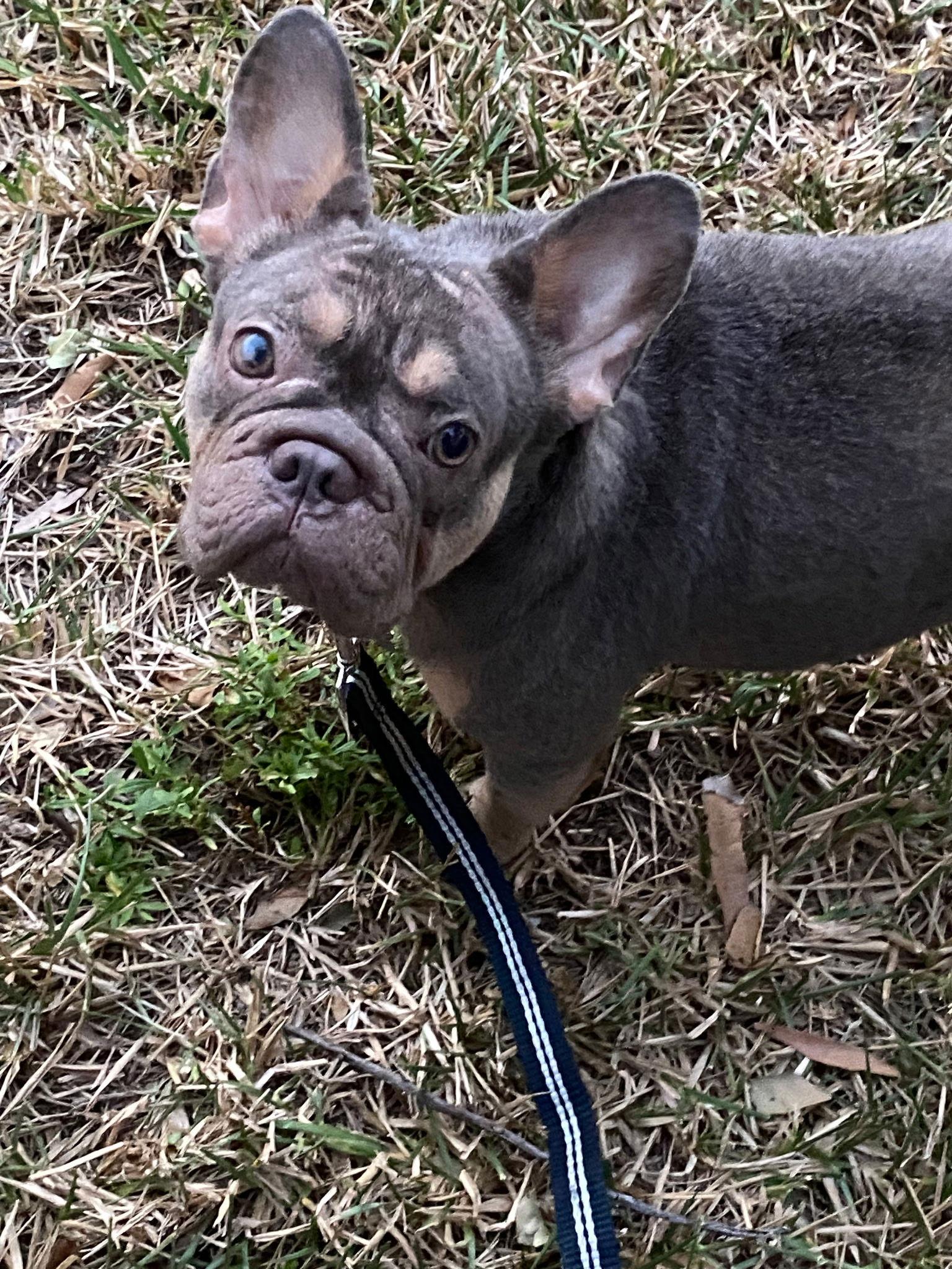 Emma — thumbnail 2