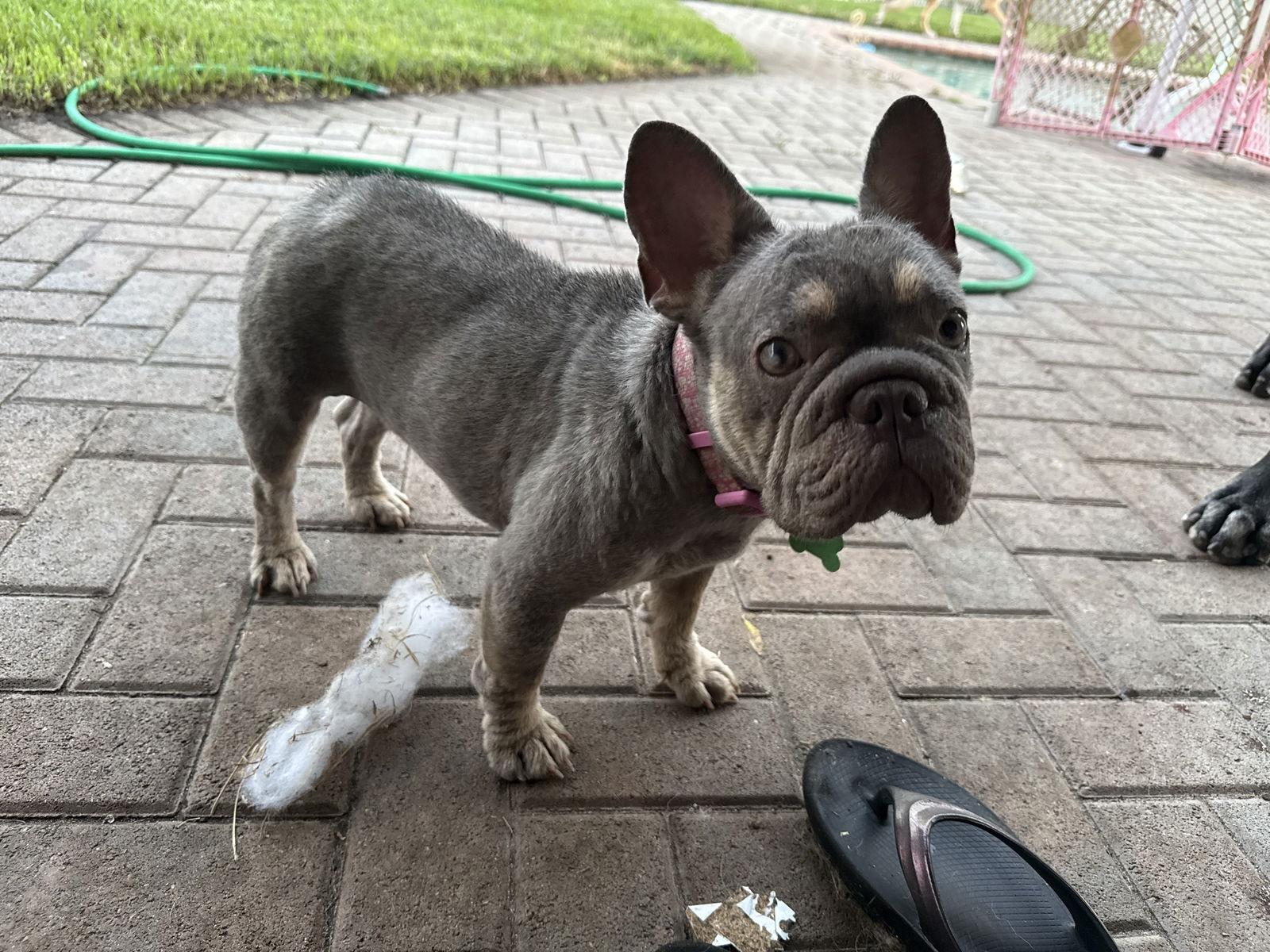 Emma — thumbnail 3