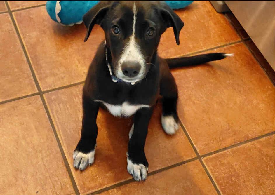 Rey - In Foster
