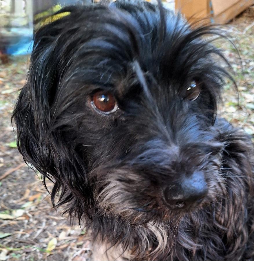 Ramsy Cothw thumbnail 2