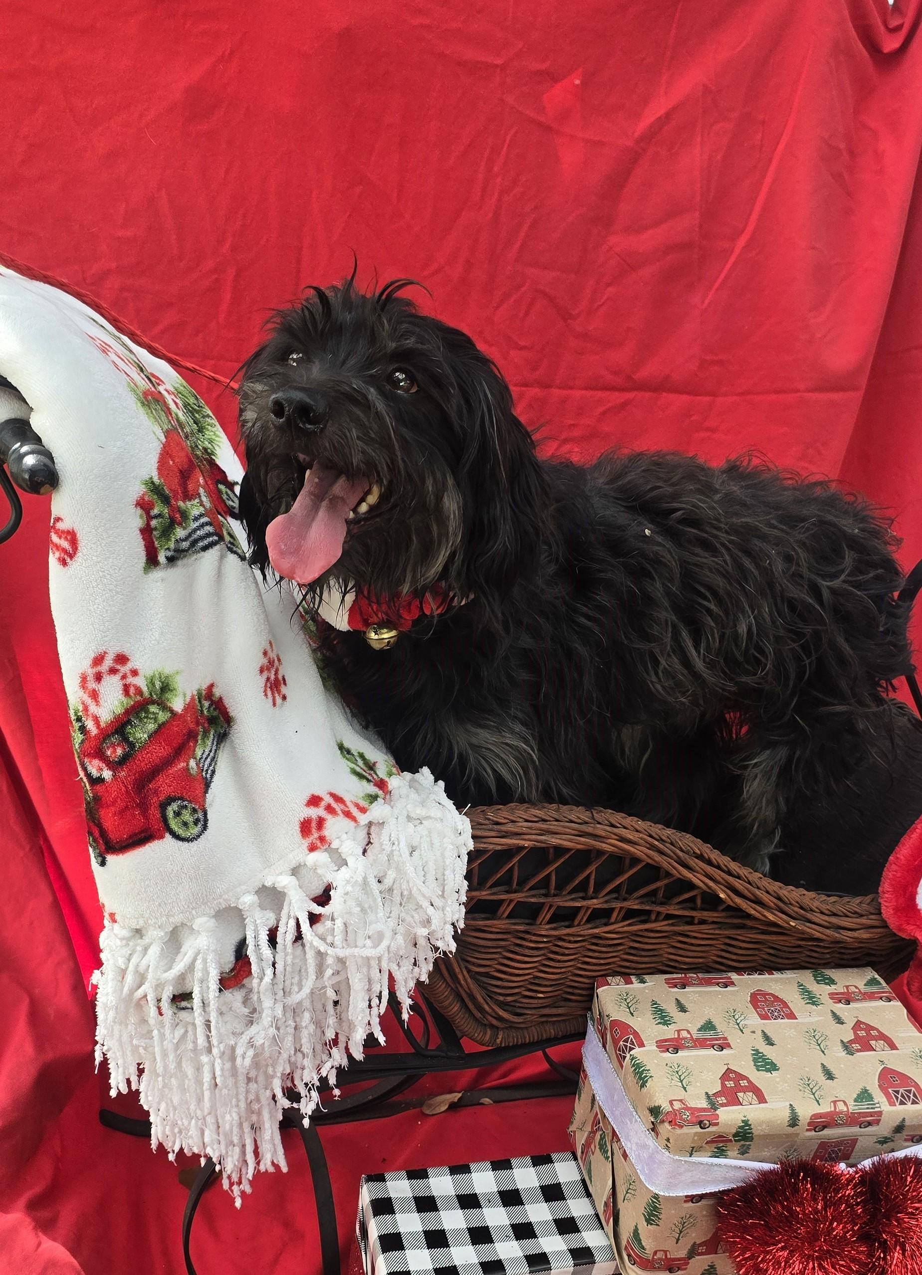 Ramsy Cothw thumbnail 4