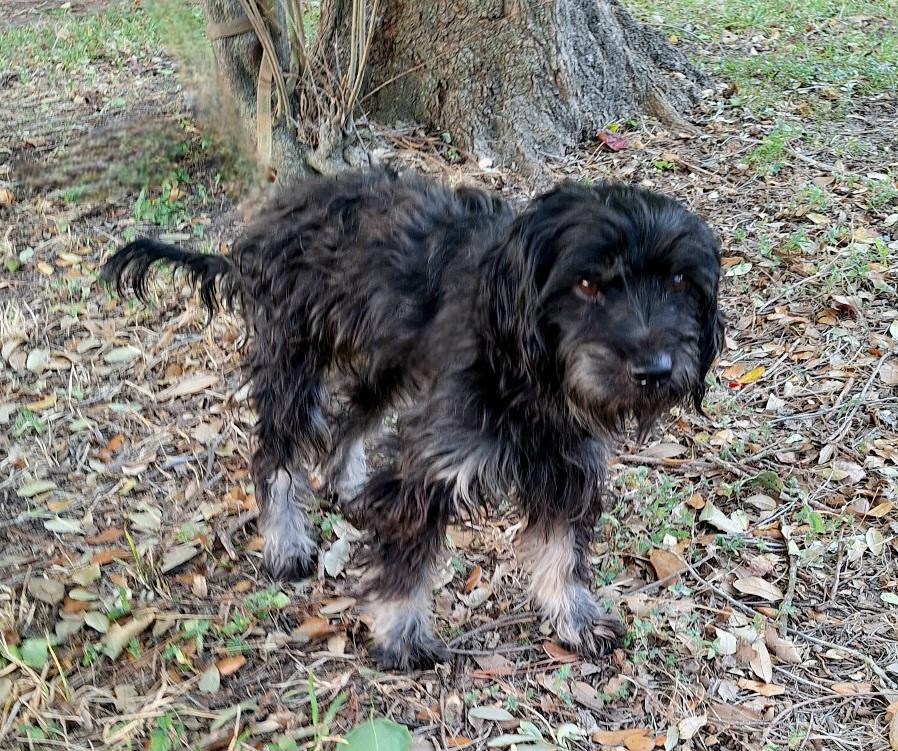 Ramsy Cothw thumbnail 5