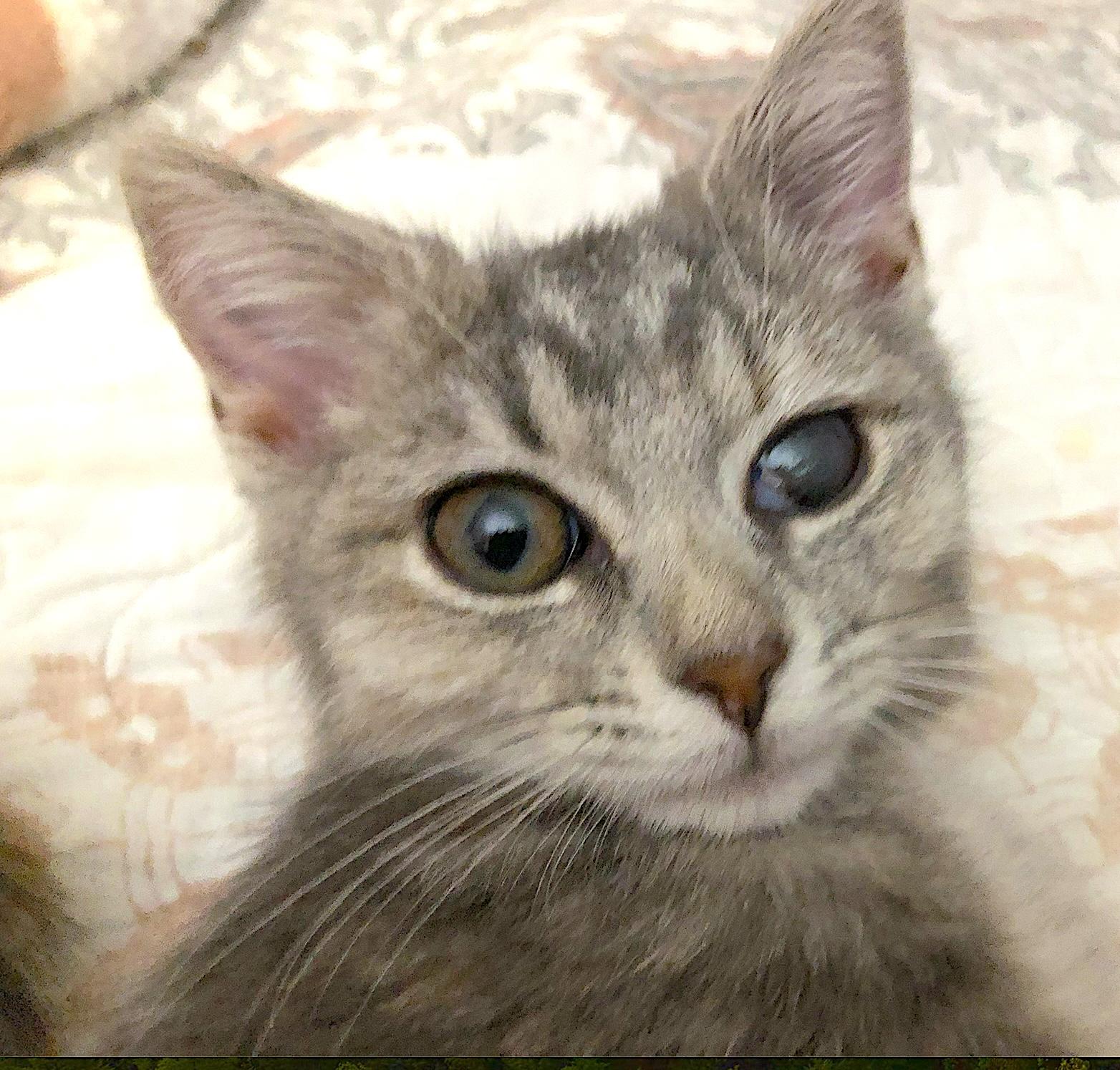 Frankie And Jonni thumbnail 2