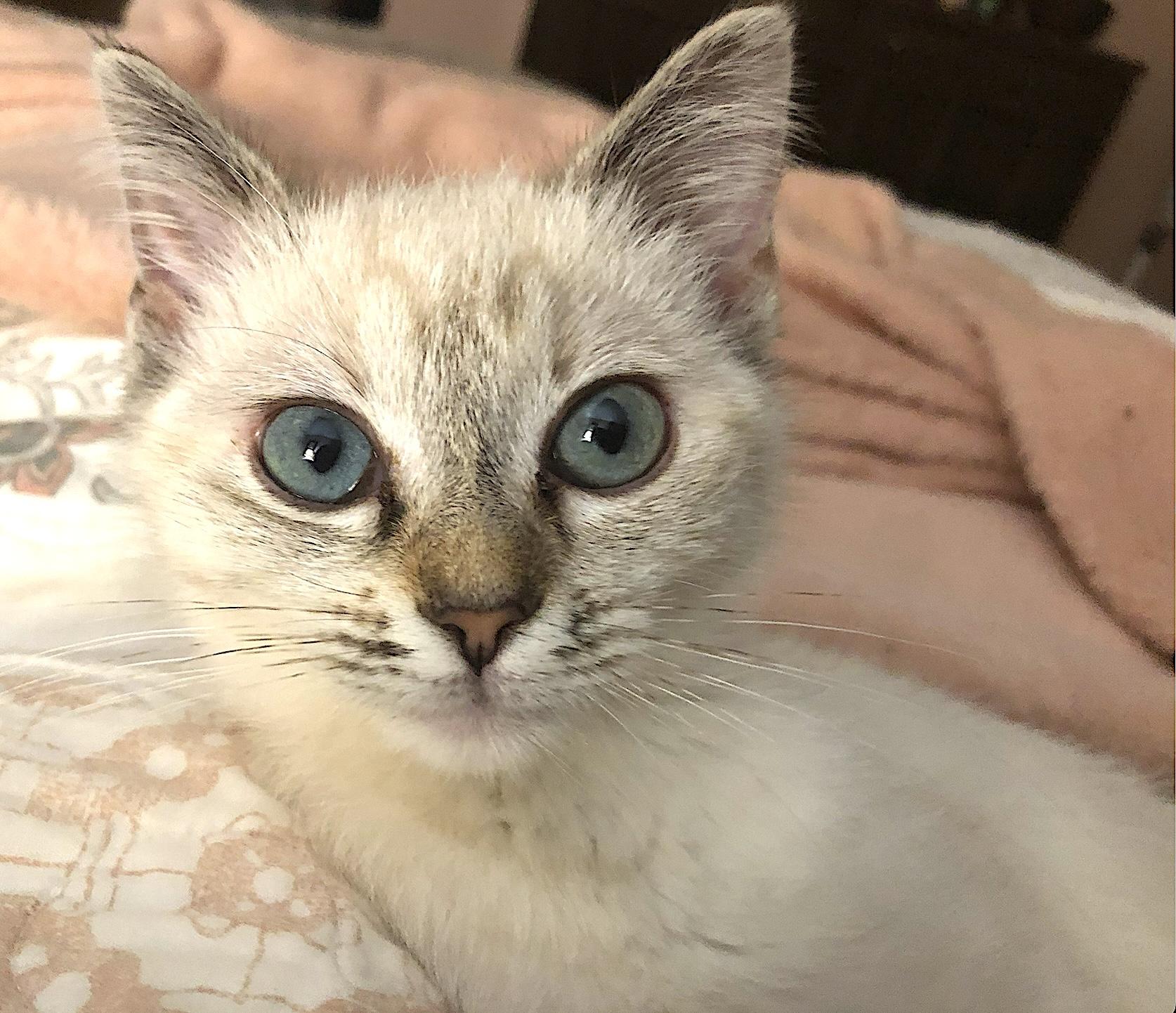 Frankie And Jonni thumbnail 4