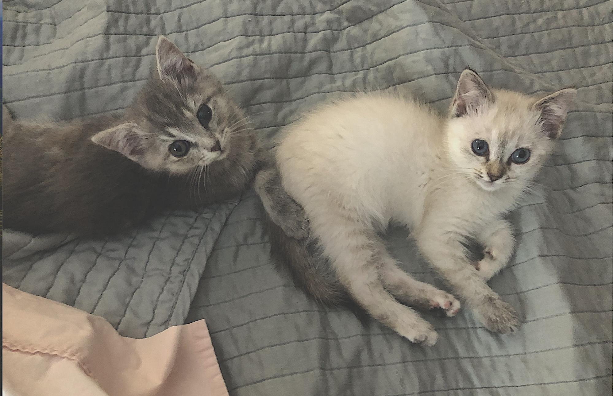 Frankie And Jonni thumbnail 5