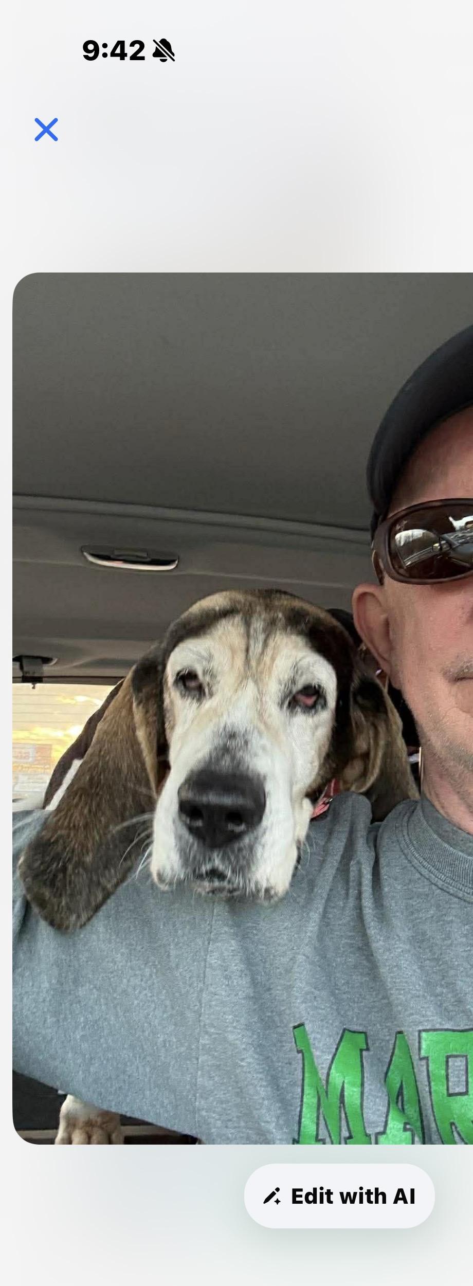 Josephine , ADOPTABLE, Senior Female Treeing Walker Coonhound.