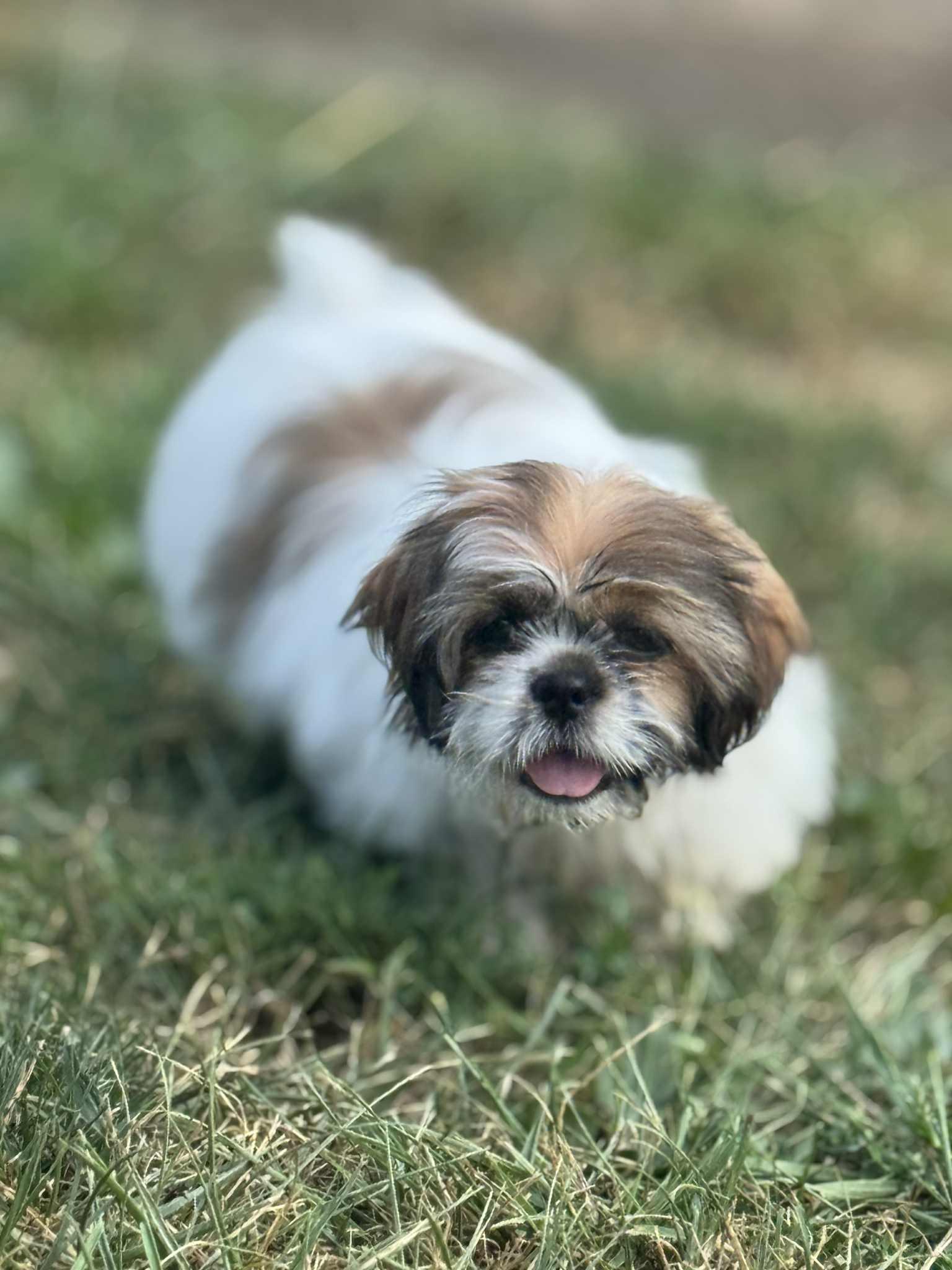 Millie
