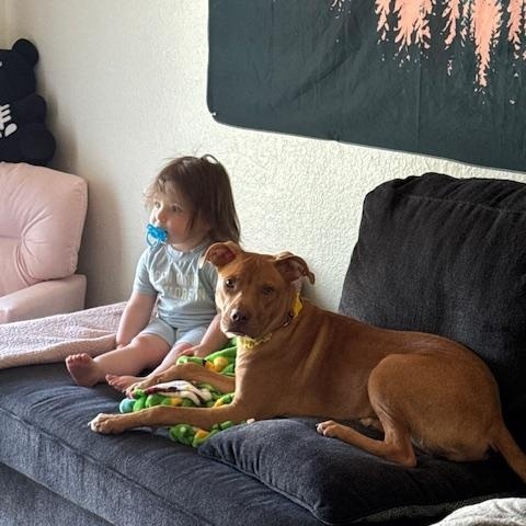 Nala photo 1