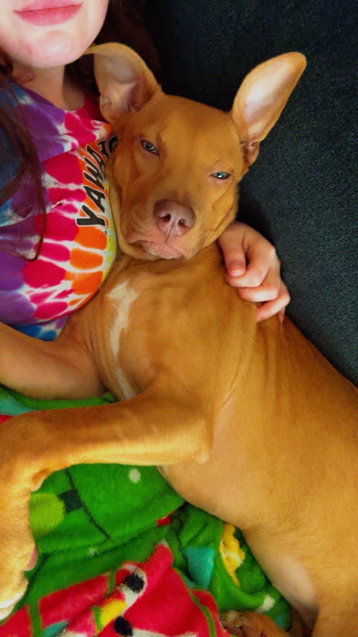 Nala photo 4