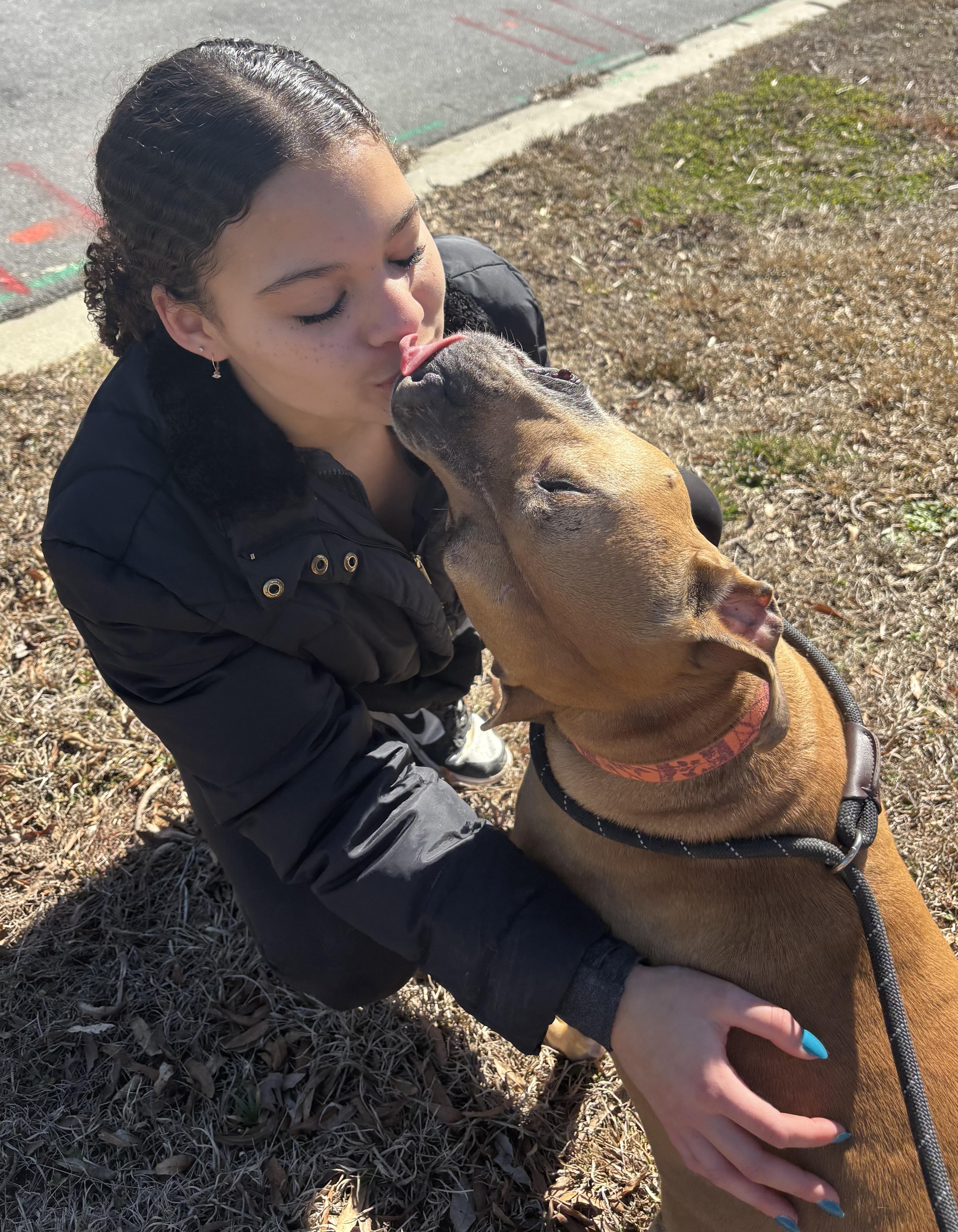 Enlarge Cobb, a ADOPTABLE mixed breed in Lancaster, SC image 6/6